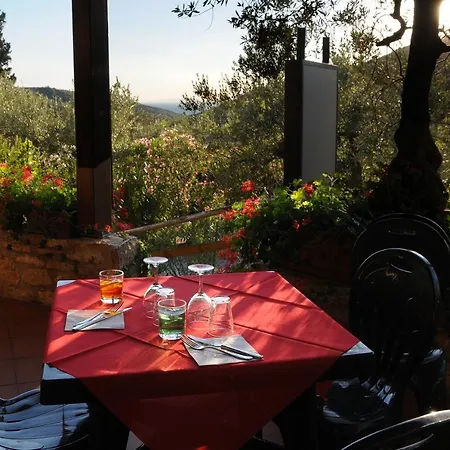 Divacamp Glamping Resort Luxury tent Campiglia Marittima