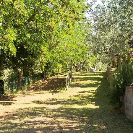 Divacamp Glamping Resort Luxury tent Campiglia Marittima